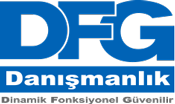 DFG Danışmanlık